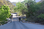 photo thumbnail #5