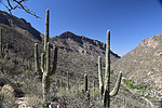 photo thumbnail #8