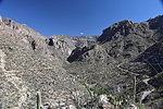 photo thumbnail #10