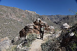 photo thumbnail #15