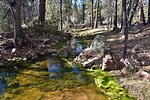 photo thumbnail #3