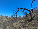 photo thumbnail #8
