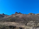 photo thumbnail #14