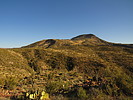 photo thumbnail #5