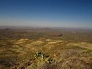 photo thumbnail #11