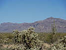 photo thumbnail #4