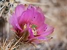 photo thumbnail #12
