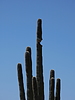 photo thumbnail #15