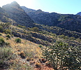 photo thumbnail #11