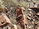 photo thumbnail #4