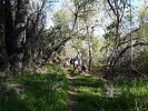photo thumbnail #6