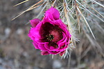 photo thumbnail #3