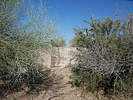 photo thumbnail #15