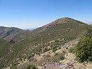 photo thumbnail #2