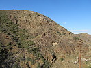 photo thumbnail #15