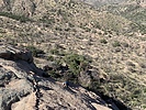 photo thumbnail #1