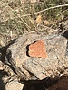 photo thumbnail #10