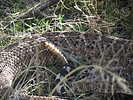 photo thumbnail #14