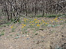 photo thumbnail #12