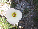 photo thumbnail #15