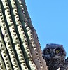 photo thumbnail #13