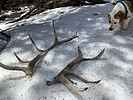 photo thumbnail #8