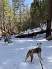 photo thumbnail #5