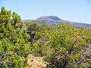 2021-04-07 :3: Sierra Ancha A to Z :: DixieFlyer