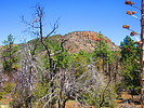2021-04-07 :3: Sierra Ancha A to Z :: DixieFlyer