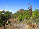 2021-04-07 :3: Sierra Ancha A to Z :: DixieFlyer