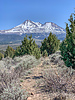 2021-04-08 :1: Haystack Butte - Klamath NF :: mdfabbrini