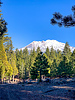 2021-01-18 :1: Black Butte Lookout Rd :: mdfabbrini