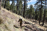 photo thumbnail #4