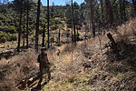 photo thumbnail #5