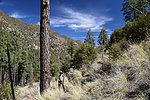 photo thumbnail #8
