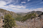 photo thumbnail #15