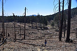 photo thumbnail #3