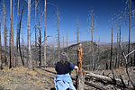 photo thumbnail #9
