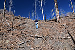 photo thumbnail #10