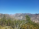 photo thumbnail #1
