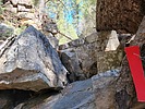 photo thumbnail #9