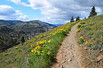 photo thumbnail #13
