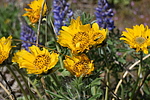 photo thumbnail #8