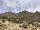 photo thumbnail #10