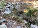 Featured Full Photo
