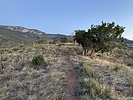 photo thumbnail #1
