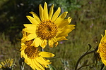 photo thumbnail #9