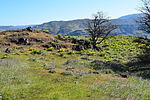 photo thumbnail #10