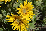 photo thumbnail #14
