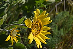 photo thumbnail #13